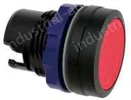 Green frosted button with plastic edge