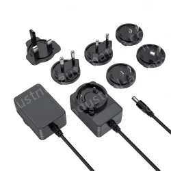 Multi-specification interchangeable pin power adapter 12V2A