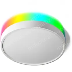 Smart lamps ZJ-BWBL-RGBWW-24W